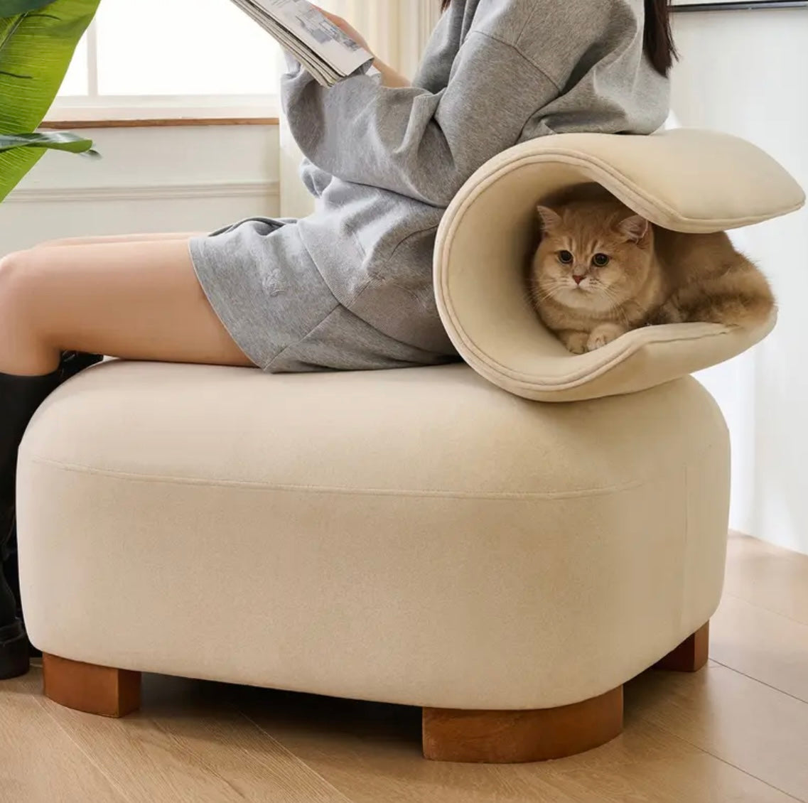 Lounge chair, for your cat & for you too!